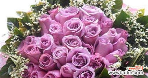 33朵玫瑰的花语含义是什么？如何正确表达爱意？