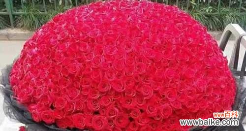 93朵玫瑰花的花语是什么？送93朵玫瑰代表什么含义？