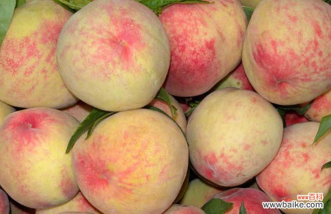 核桃放冰箱里为什么里面都黑了 桃子可以放冰箱保存吗?