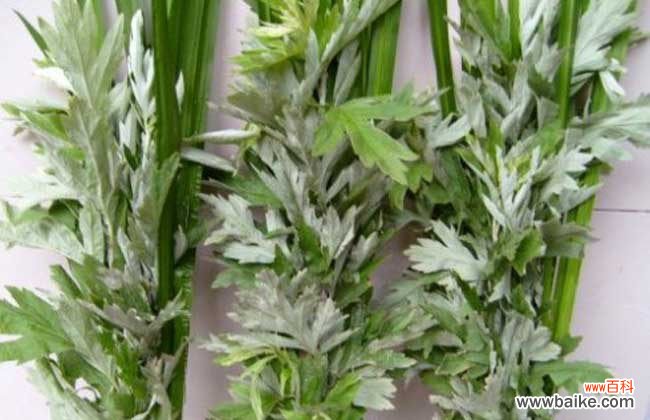 艾叶煮水洗脸的坏处 艾草洗脸有那些好处？