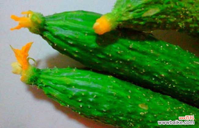 水沫子最快鉴别方法 避孕黄瓜的鉴别方法