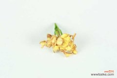 栀子花掉叶子怎么回事