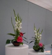 室内牡丹保健知识与技巧 冬季室内如何养护盆栽牡丹？