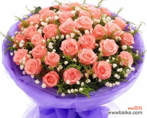 用花朵之语传递情感的力量 五朵玫瑰花的象征意义