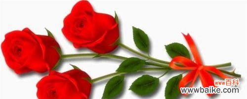 用花朵之语传递情感的力量 五朵玫瑰花的象征意义