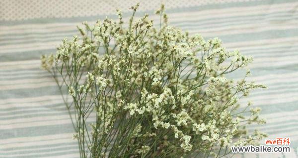 白色满天星的花语是什么？如何正确解读？