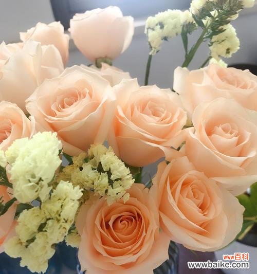 如何挑选最适合的花礼,让心意传达到位 送礼佳选