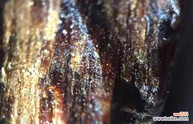 奇楠沉香怎么鉴别真假?