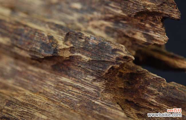 奇楠沉香怎么鉴别真假?