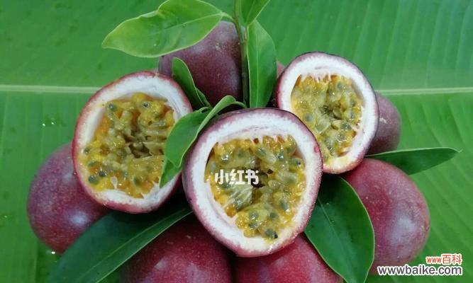 百香果象征意义是什么?百香果的寓意有哪些?