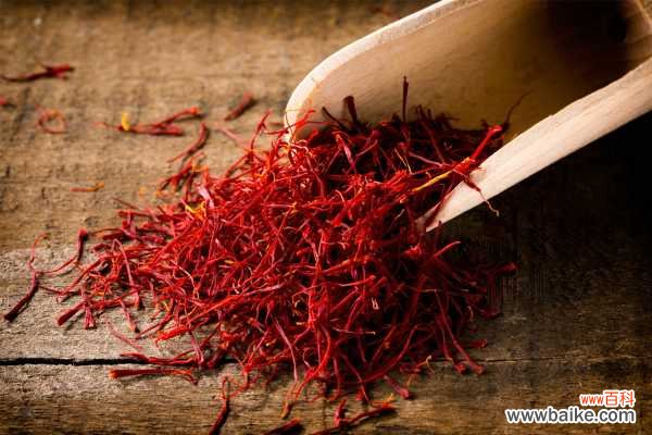 番红花 藏红花常见虫害及防治方法