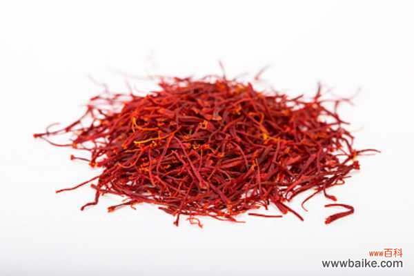 番红花 藏红花常见虫害及防治方法