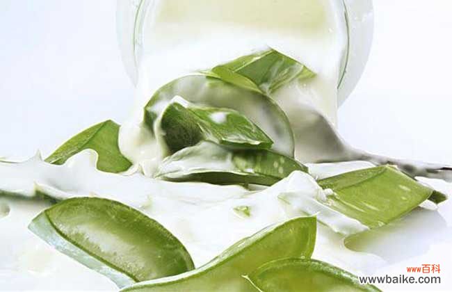 新鲜芦荟治疗妇科炎症怎么用 新鲜芦荟的正确用法