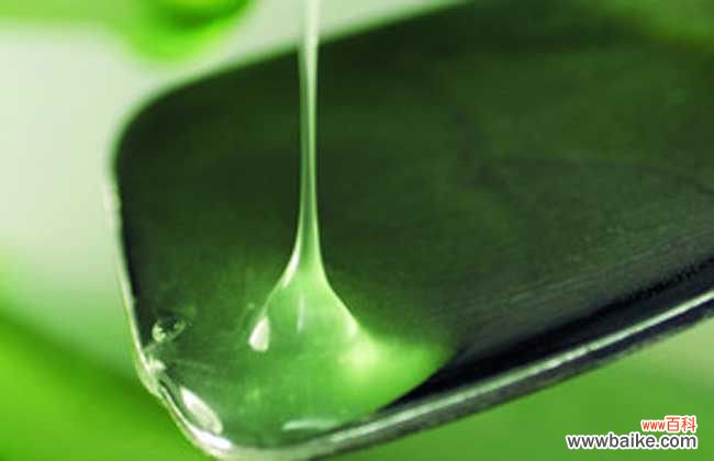 新鲜芦荟治疗妇科炎症怎么用 新鲜芦荟的正确用法