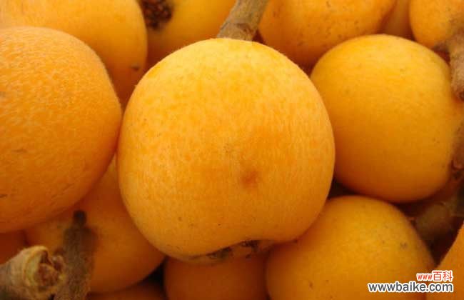 宝宝咳嗽吃枇杷好吗 枇杷怎么吃可以治疗咳嗽?