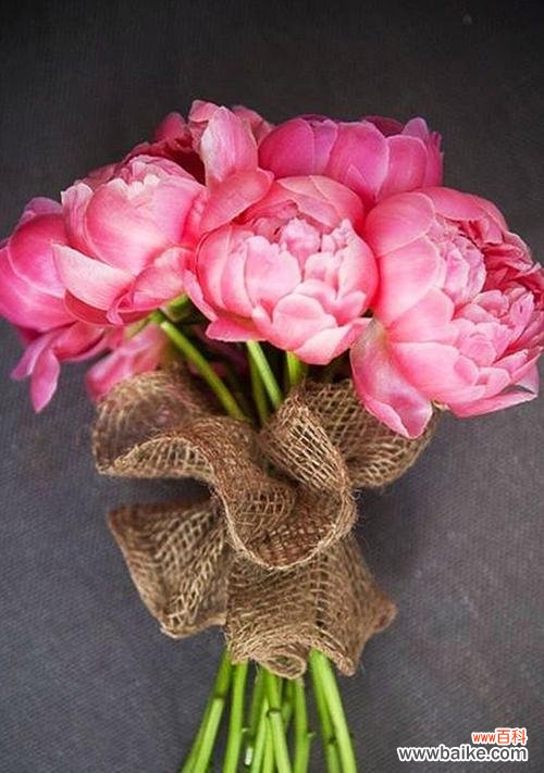 表示诚信的花花语是什么？诚信的花有哪些含义？