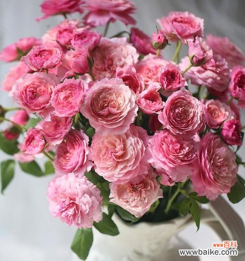 做好这些,让鲜花开放更久 如何养护玫瑰鲜花长时间保鲜