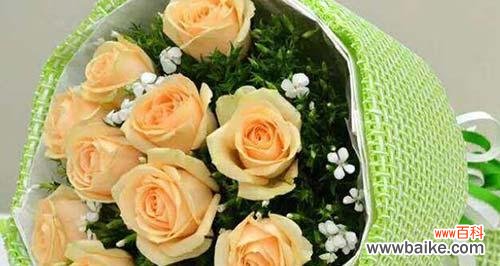 探索香槟玫瑰花所传达的情感和象征意义 香槟玫瑰的花语和寓意