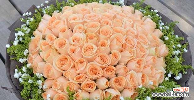 探寻香槟玫瑰的深刻寓意 香槟玫瑰花语