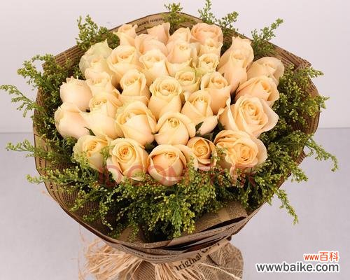 美丽如梦 香槟玫瑰