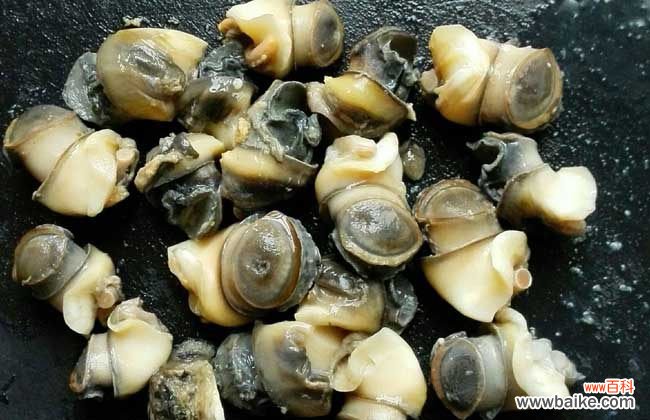 怎样清洗螺蛳才干净 螺蛳怎么清洗才干净？