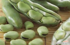 蚕豆如何储存 新鲜蚕豆的保存方法