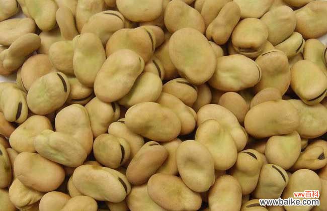 蚕豆如何储存 新鲜蚕豆的保存方法