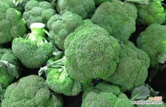 西兰花开水烫几分钟可以吃 西兰花怎么洗干净