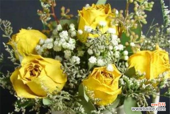 表示请求原谅的花花语是什么？如何用花表达歉意？