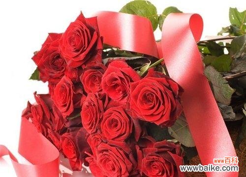 了解不同数量的玫瑰所代表的含义 玫瑰的数量与寓意