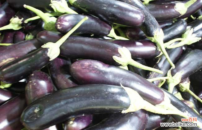 为什么说茄子有毒 茄子有毒吗?