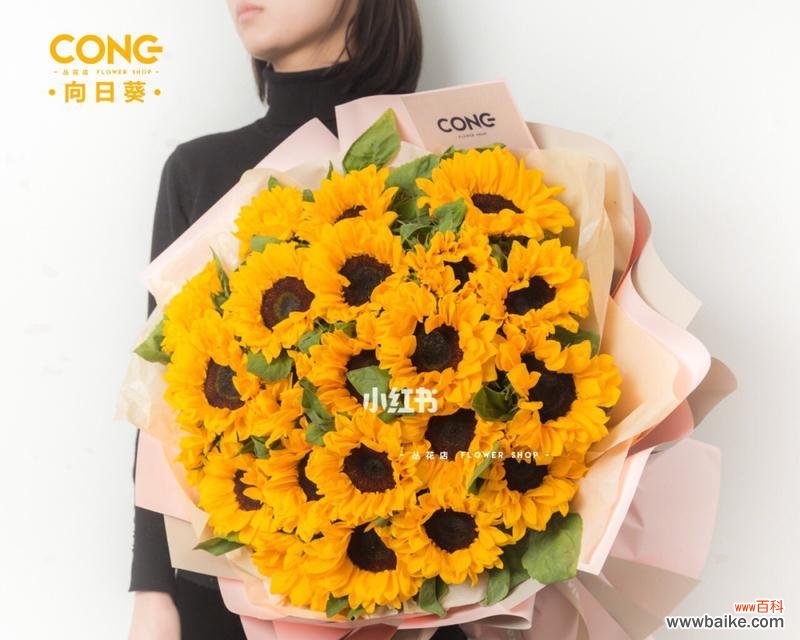 花开希望 向日葵