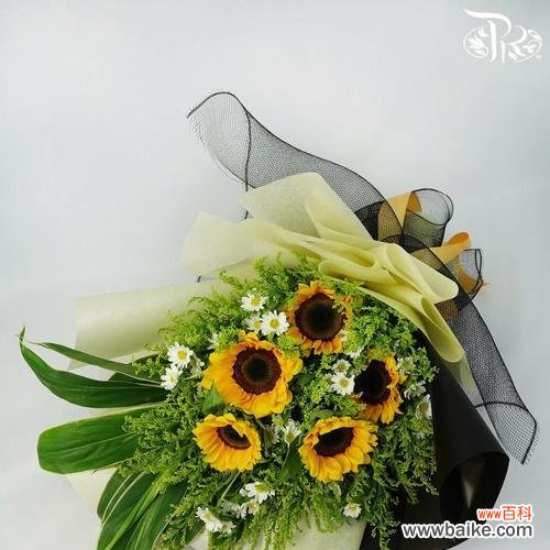 朝阳般的美好与坚持 向日葵的寓意与象征意义