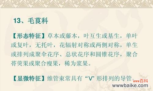 了解被子植物的分类、生态和进化 被子植物的主要特征