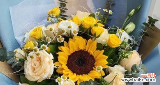 表示尊敬老人的花花语是什么？如何选择合适的花卉表达敬意？