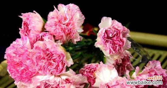 表示尊敬师长的花花语是什么？如何选择合适的花朵来表达敬意？