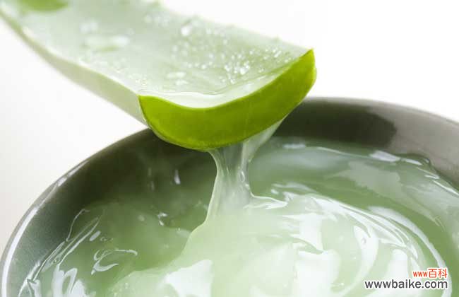 芦荟涂在脸上有什么作用?(每天用新鲜芦荟擦脸有什么效果吗