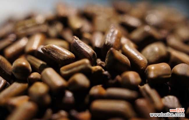 决明子可以天天喝吗 决明子减肥功效是真的吗?