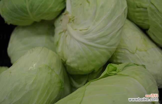 卷心菜生吃会中毒吗 卷心菜能生吃吗？