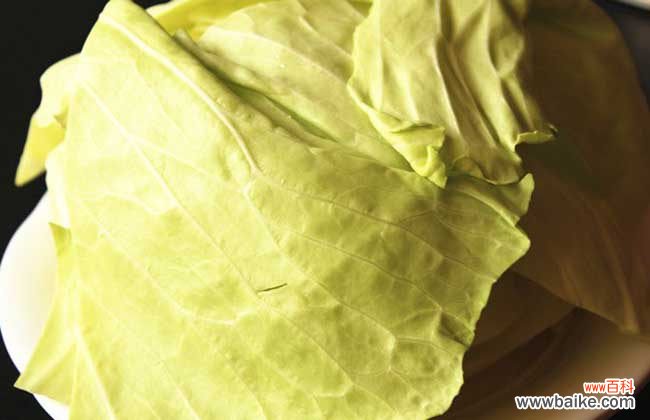 卷心菜生吃会中毒吗 卷心菜能生吃吗？