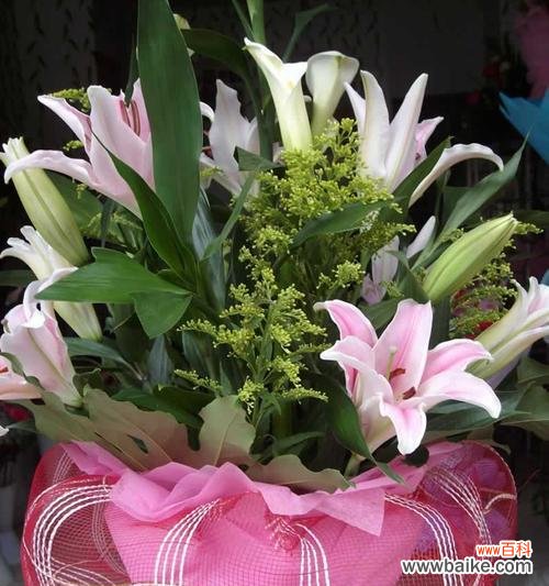 探究花语中的浪漫与感性 解读粉色百合的花语和寓意