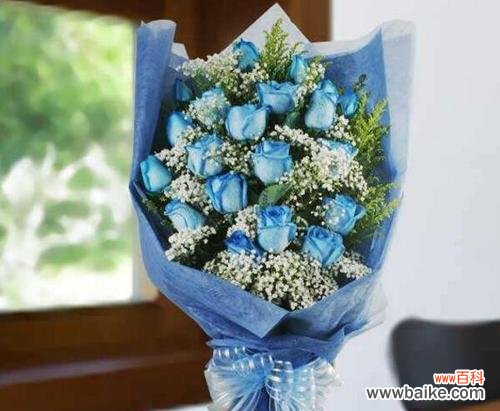 一朵代表着神秘和神奇的花 蓝色妖姬玫瑰花的花语