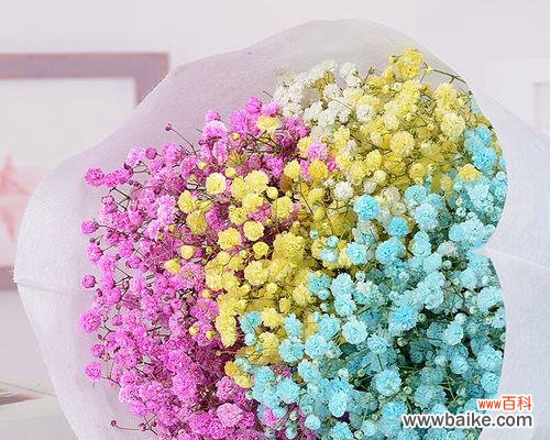 探索永生花的美与寓意 永生花的花语