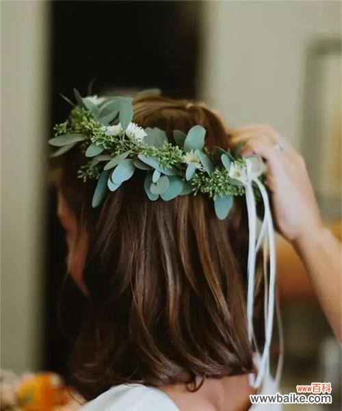 揭开尤加利叶的寓意与传说 尤加利叶花语探秘