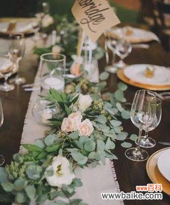 揭开尤加利叶的寓意与传说 尤加利叶花语探秘