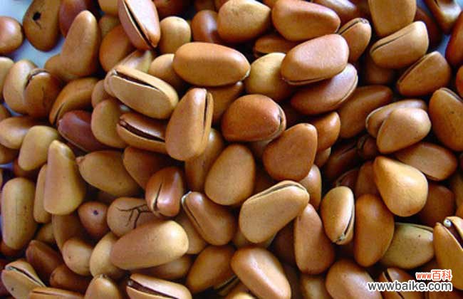 女人每天吃坚果的好处 常吃坚果的好处有哪些?