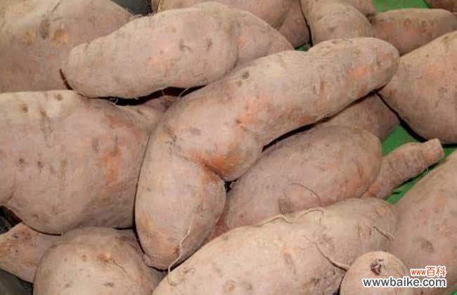 吃红薯减肥还是发胖 吃红薯会发胖吗？