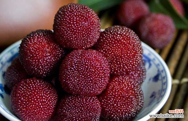 一颗杨梅有多少虫 杨梅虫可以吃吗？