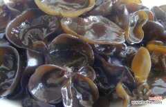 减肥为什么不能吃木耳 黑木耳可以减肥吗？