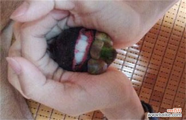 大蒜快速剥皮的方法 山竹快速剥皮方法